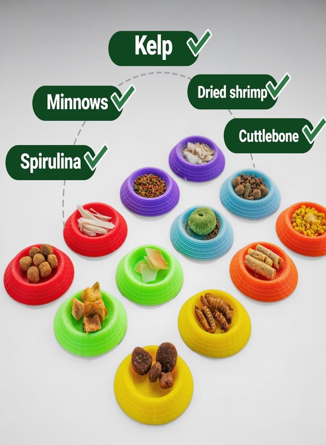 HERPDEN 12pcs Dubia Roaches Feeder Bowls, Tiny Feeding Dish for Isopods, Springtails, Dubia Roaches, Dwarf Invertebrates - Colorful Food Dishes for Terrariums and Enclosures - Image 3